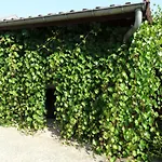La Grange Du Verger بيت ضيافة 3*