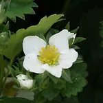 La Grange Du Verger بيت ضيافة