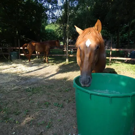 招待所 La Grange Du Verger 3*