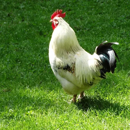 La Grange Du Verger 招待所 3*