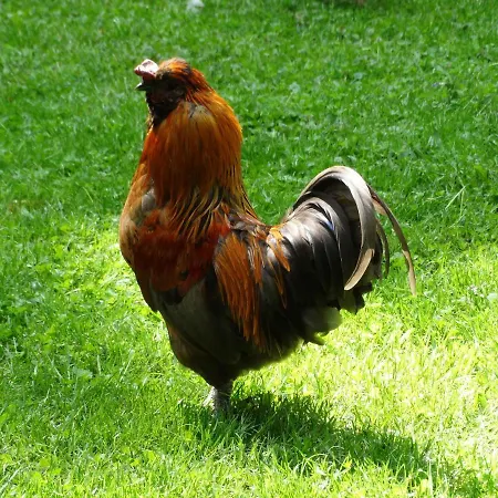 La Grange Du Verger 3* Villers-Bretonneux