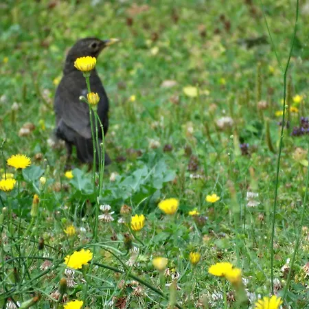 La Grange Du Verger 3*