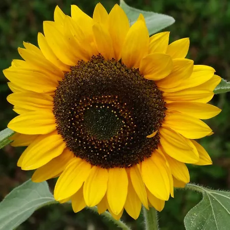 招待所 La Grange Du Verger Villers-Bretonneux