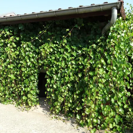 La Grange Du Verger بيت ضيافة 3*