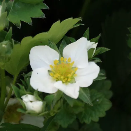 La Grange Du Verger 招待所