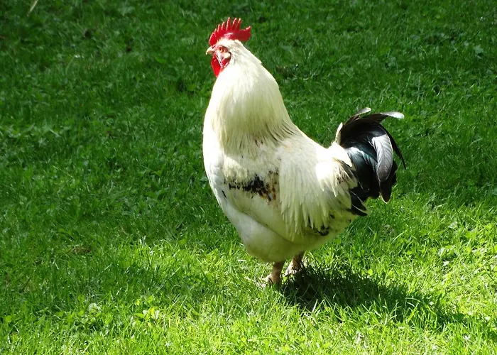 La Grange Du Verger 招待所 3*